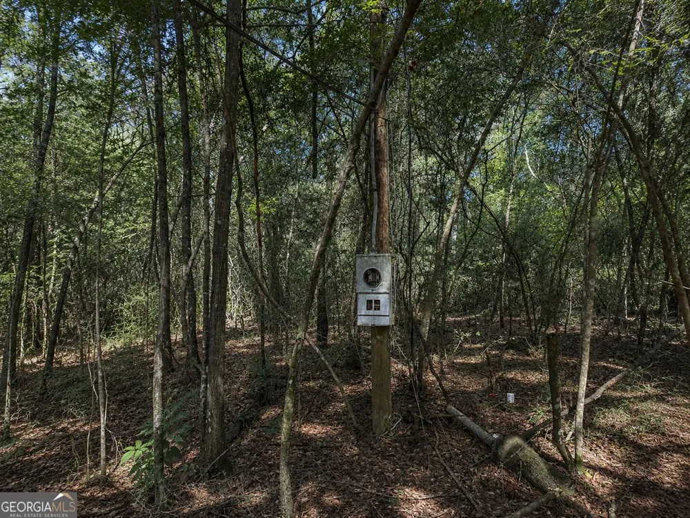 399 Perdue RD Defuniak Springs, FL 32433