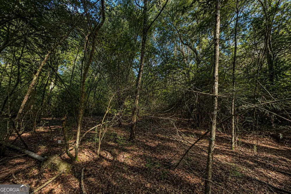 399 Perdue RD Defuniak Springs, FL 32433