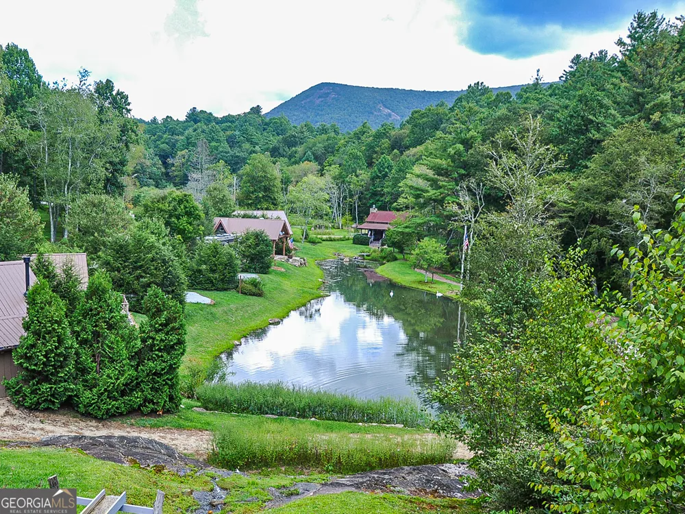115 Wildflower RD Scaly Mountain, NC 28775