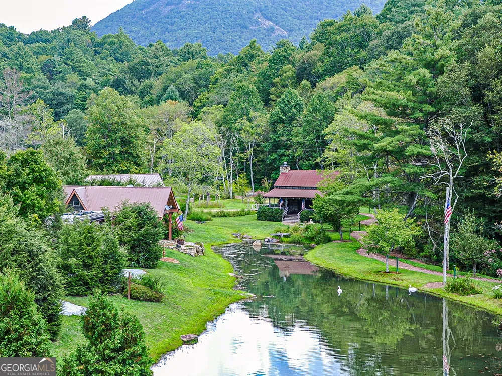 115 Wildflower RD Scaly Mountain, NC 28775