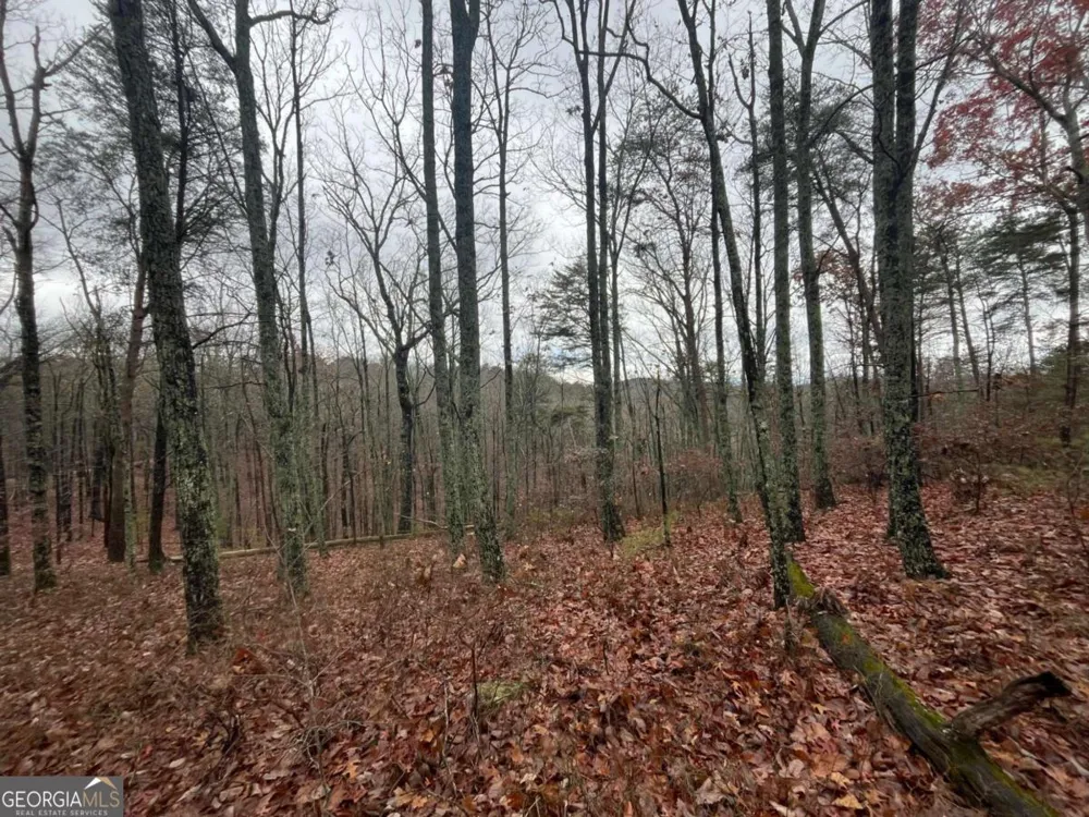 1450 Hanna DR Ranger, GA 30734