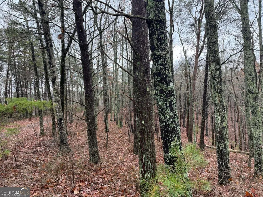 1450 Hanna DR Ranger, GA 30734
