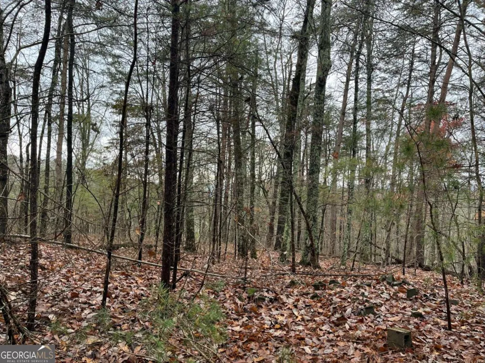 1450 Hanna DR Ranger, GA 30734