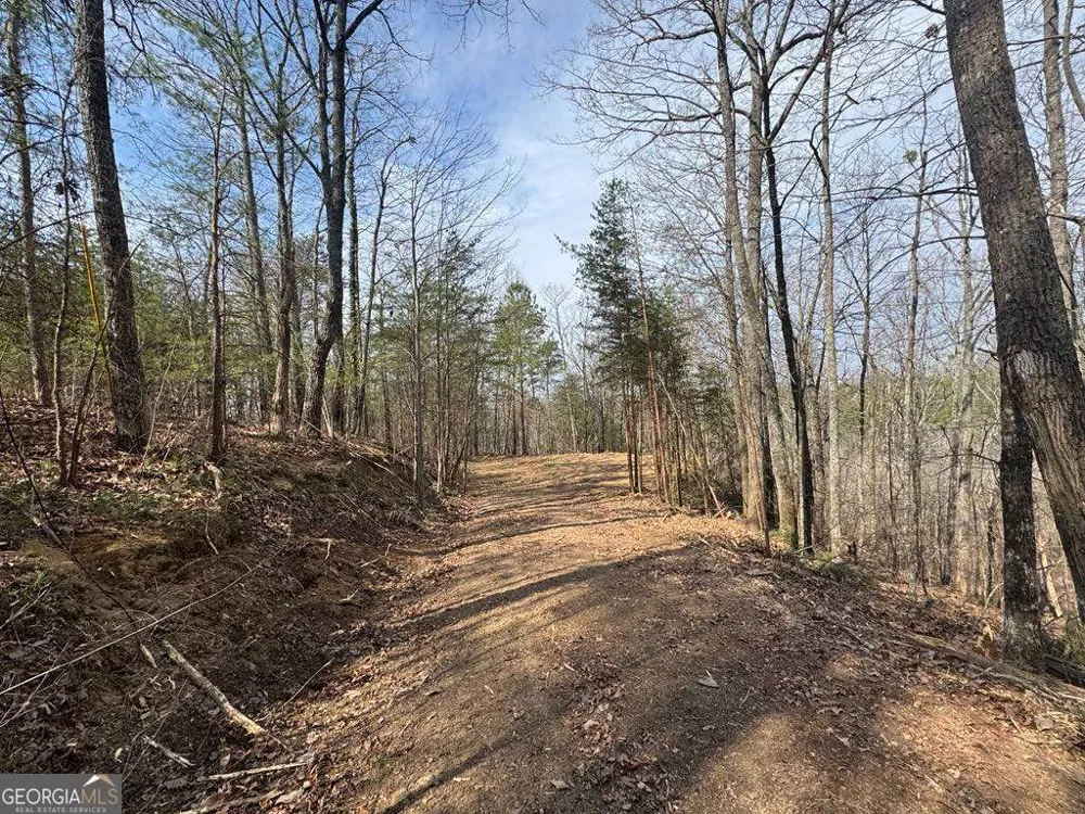 1450 Hanna DR Ranger, GA 30734