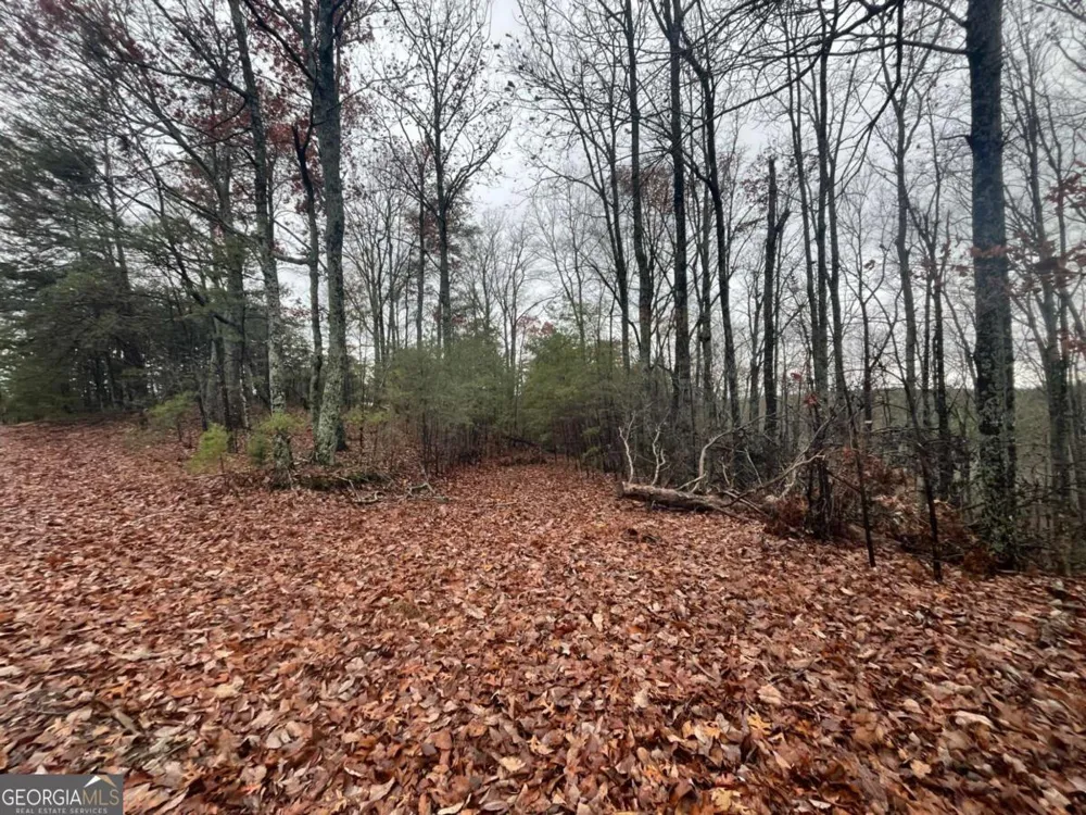1450 Hanna DR Ranger, GA 30734