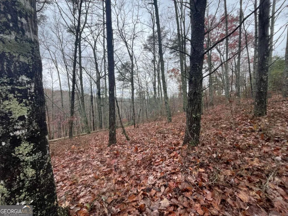 1450 Hanna DR Ranger, GA 30734