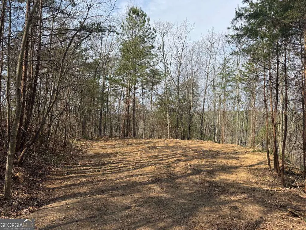1450 Hanna DR Ranger, GA 30734