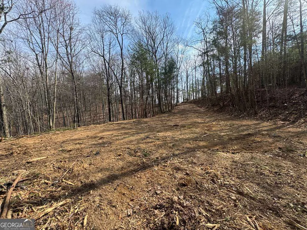 1450 Hanna DR Ranger, GA 30734
