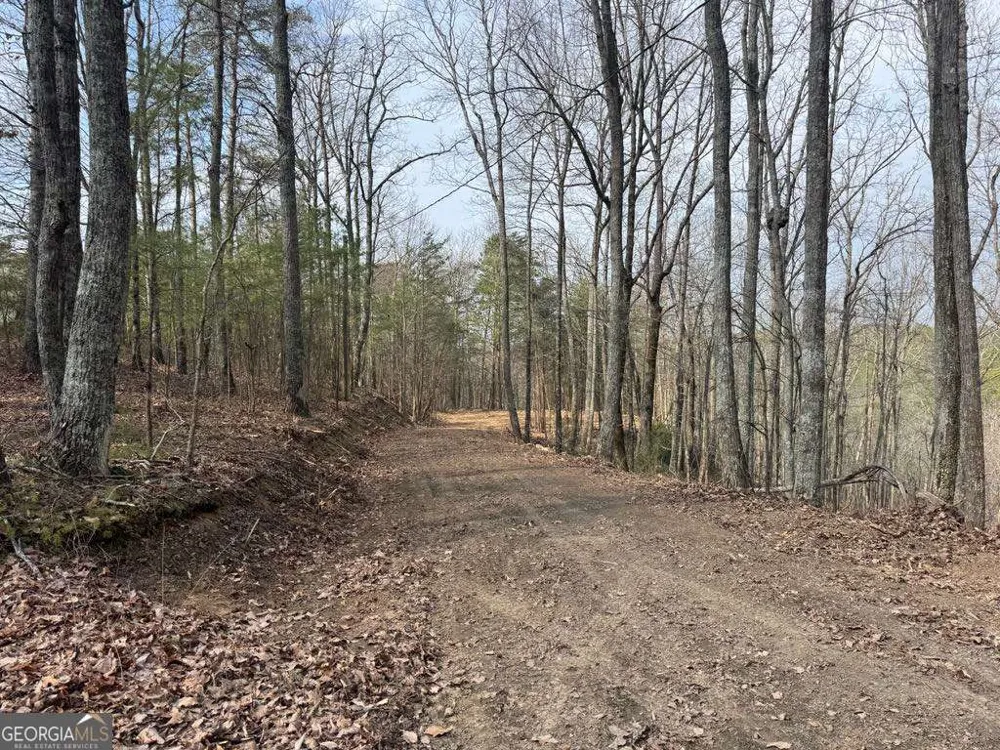 1450 Hanna DR Ranger, GA 30734