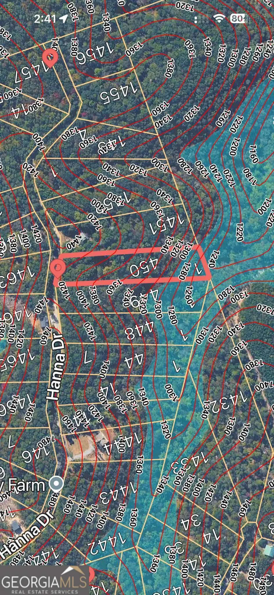 1450 Hanna DR Ranger, GA 30734