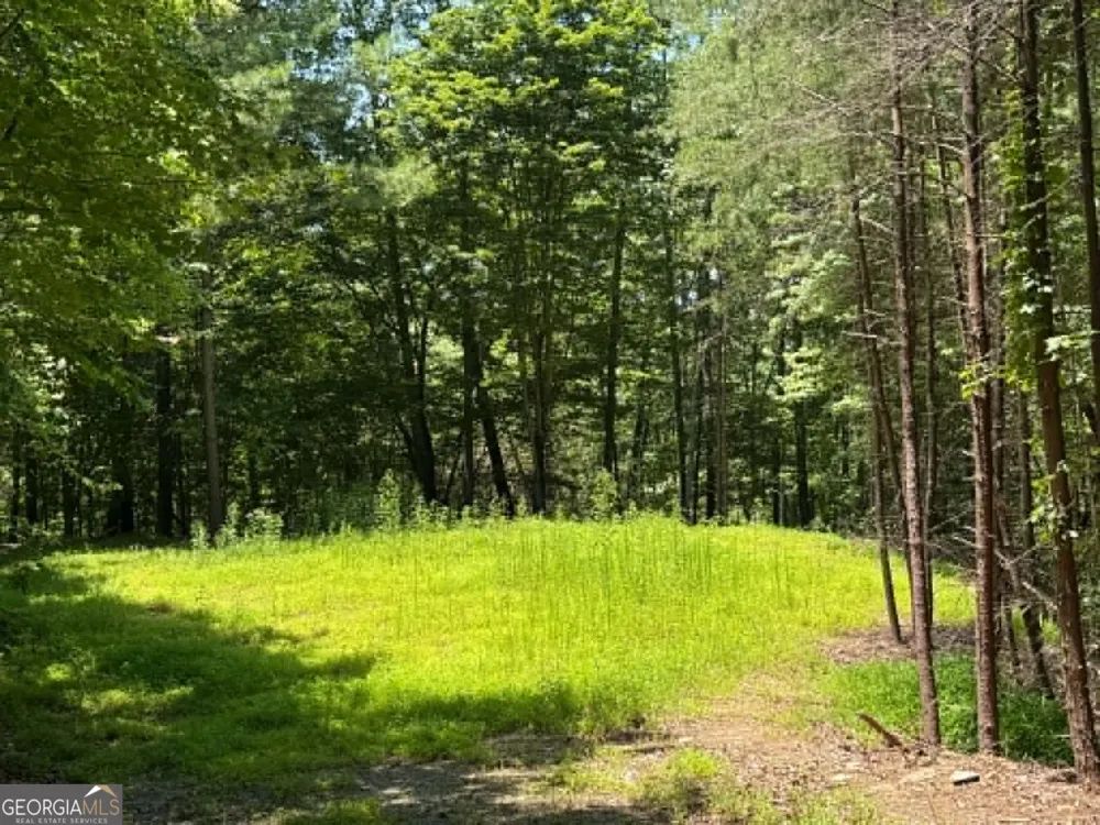 1450 Hanna DR Ranger, GA 30734