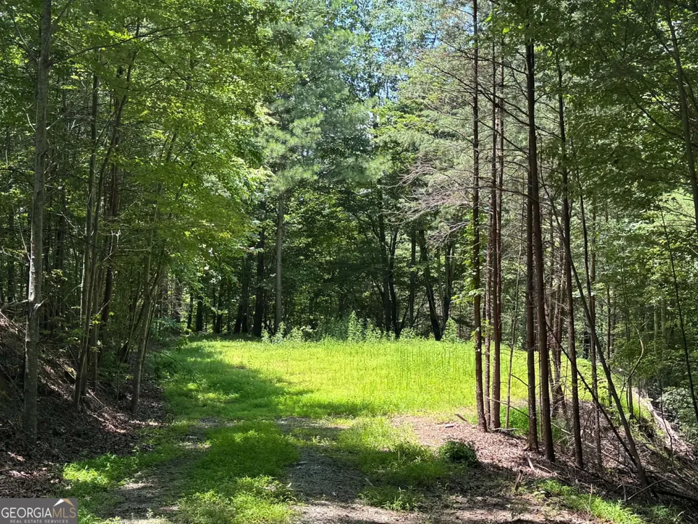 1450 Hanna DR Ranger, GA 30734