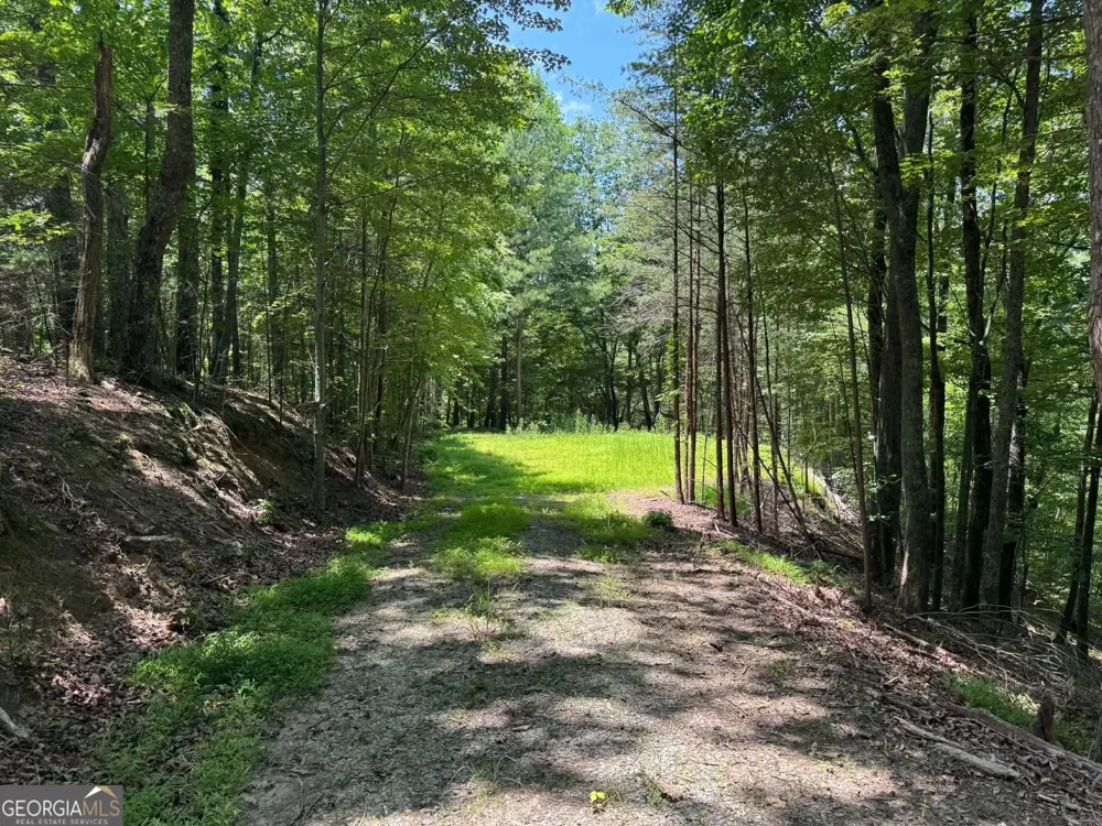 1450 Hanna DR Ranger, GA 30734
