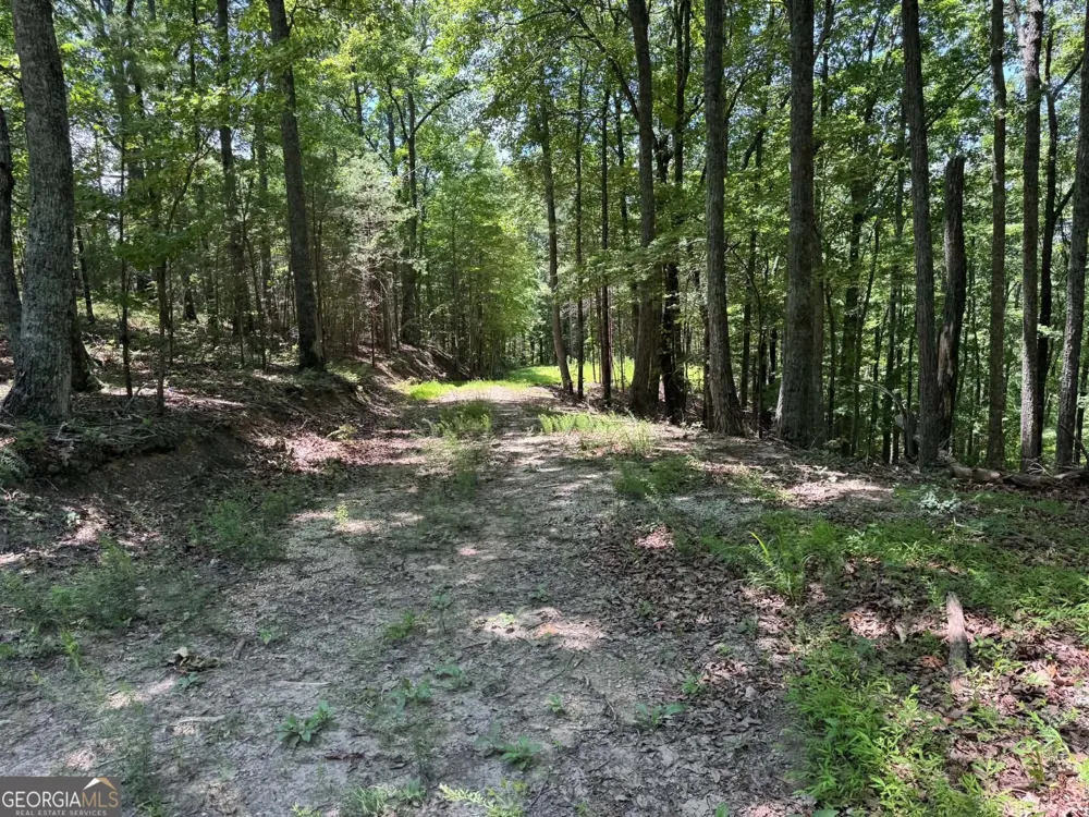 1450 Hanna DR Ranger, GA 30734
