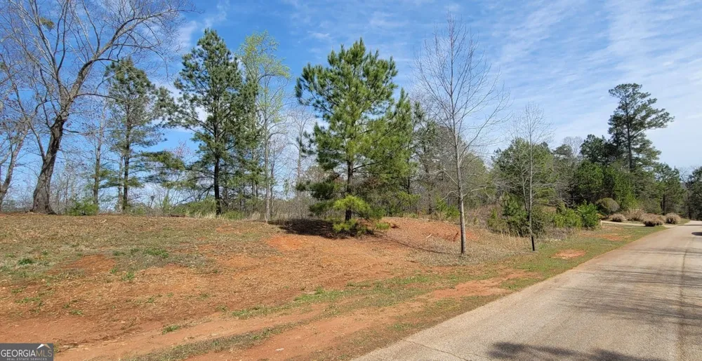 334 Edgewater TRL S Toccoa, GA 30577