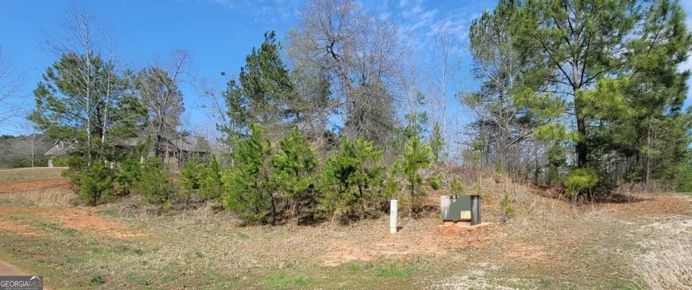 334 Edgewater TRL S Toccoa, GA 30577