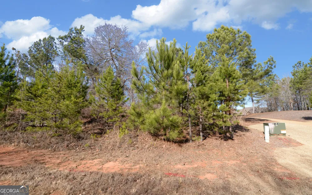 334 Edgewater TRL S Toccoa, GA 30577