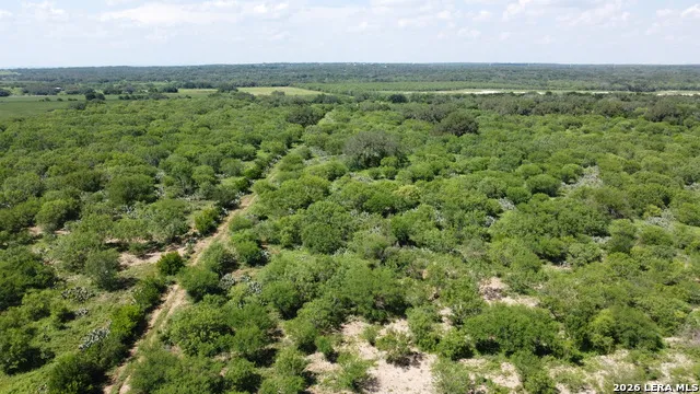 115 Country Lane Castroville, TX 78009
