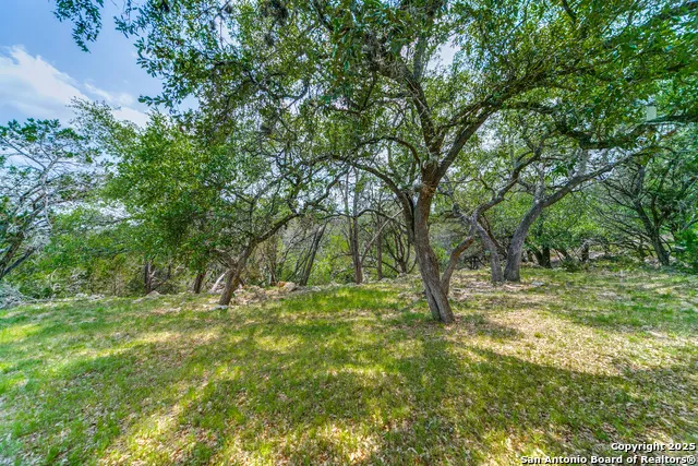 356 Warbler Spring Branch, TX 78070