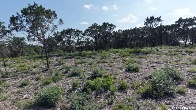 760 County Road 273 Mico, TX 78056