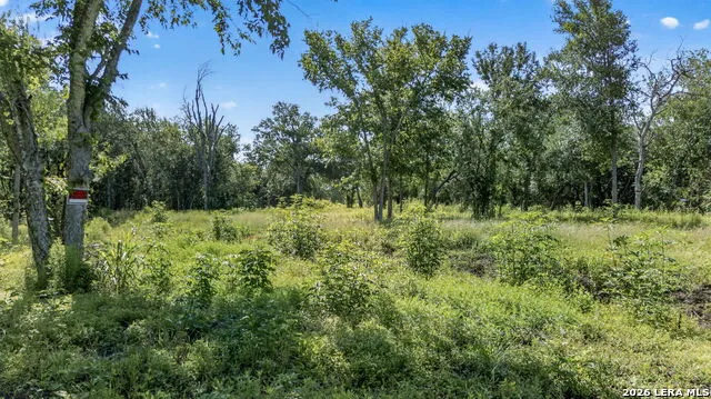 113 Buffalo Gap Seguin, TX 78155