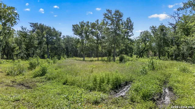 113 Buffalo Gap Seguin, TX 78155