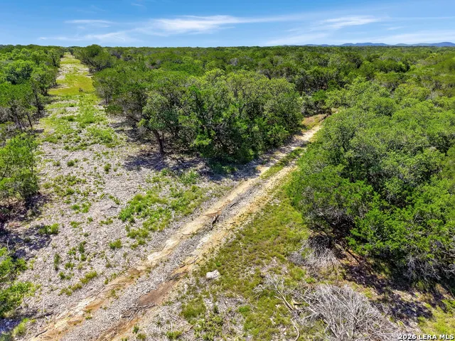 8715 FM 1796 Dhanis, TX 78850