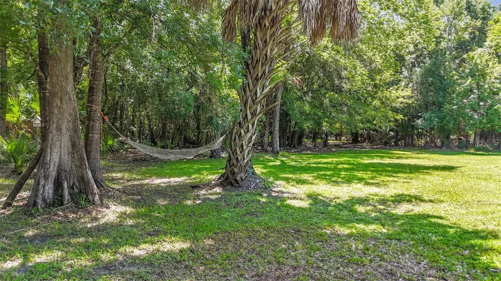 273 GRIFFIN ROAD Wauchula, FL 33873
