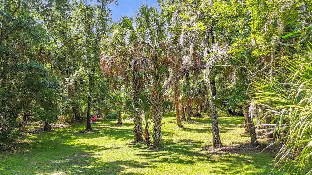 273 GRIFFIN ROAD Wauchula, FL 33873