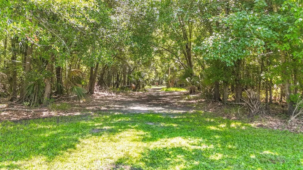 273 GRIFFIN ROAD Wauchula, FL 33873