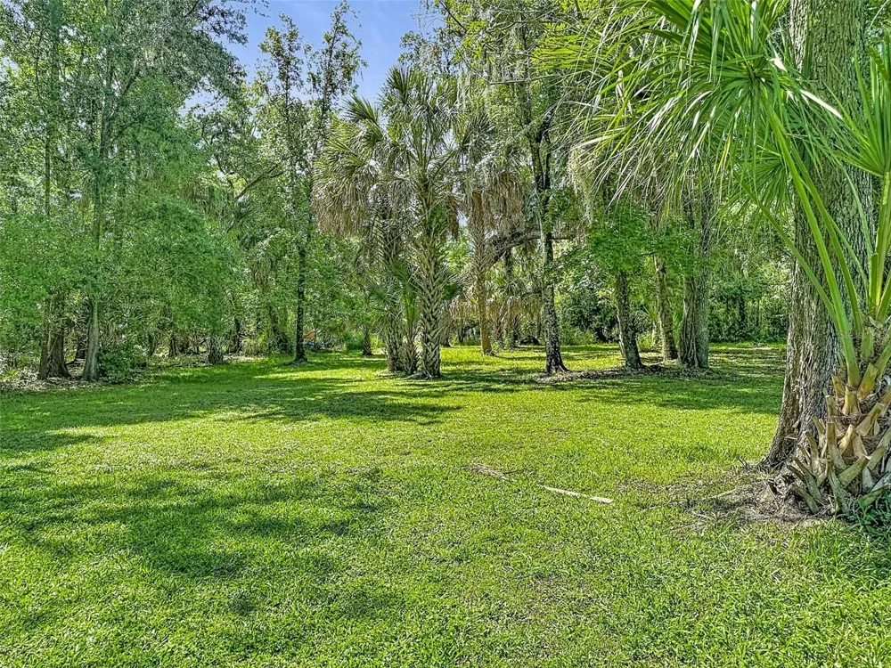 273 GRIFFIN ROAD Wauchula, FL 33873