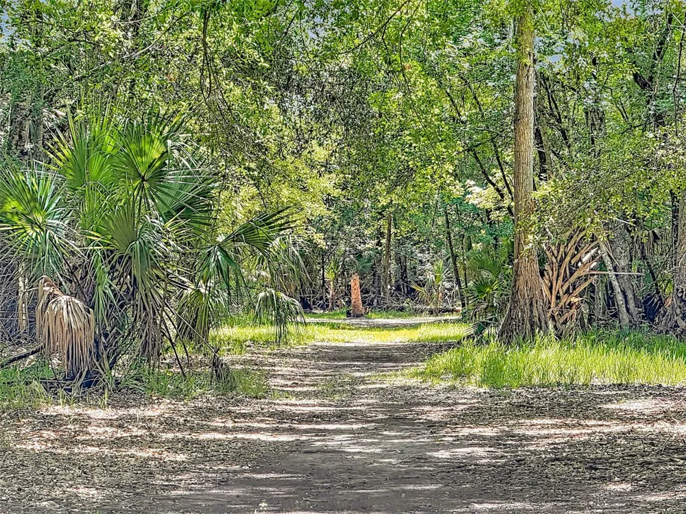 273 GRIFFIN ROAD Wauchula, FL 33873