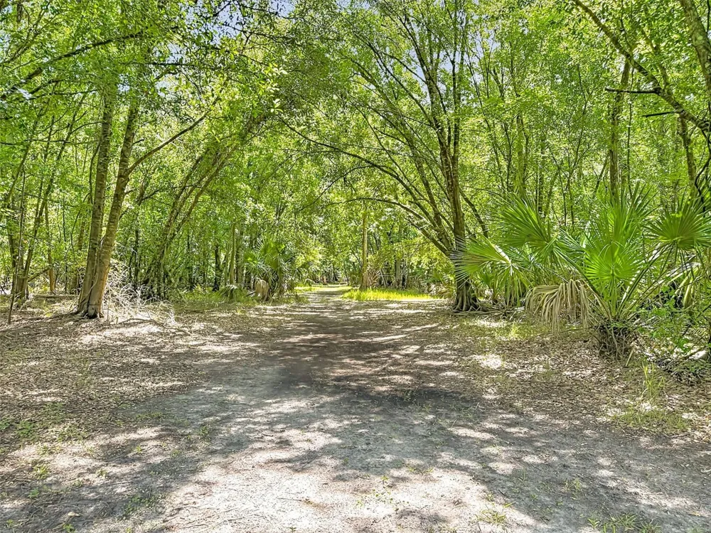 273 GRIFFIN ROAD Wauchula, FL 33873