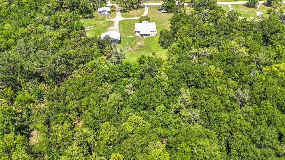 273 GRIFFIN ROAD Wauchula, FL 33873