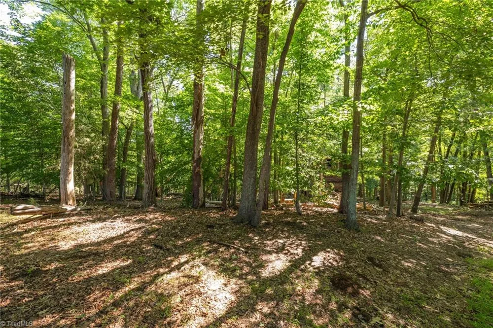 7289 Plunkett Road Stokesdale, NC 27357