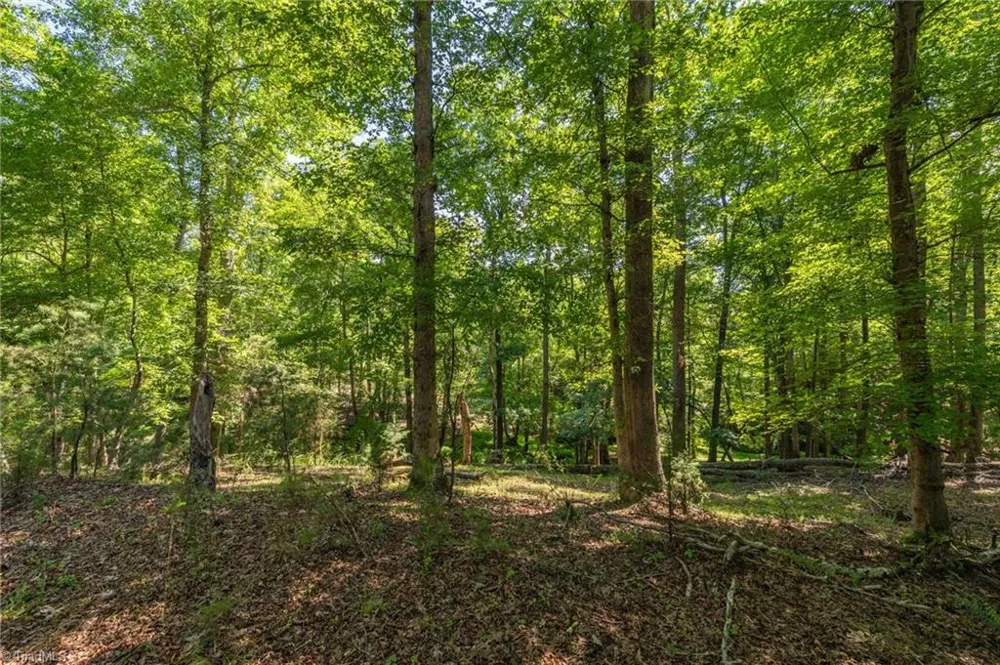 7289 Plunkett Road Stokesdale, NC 27357