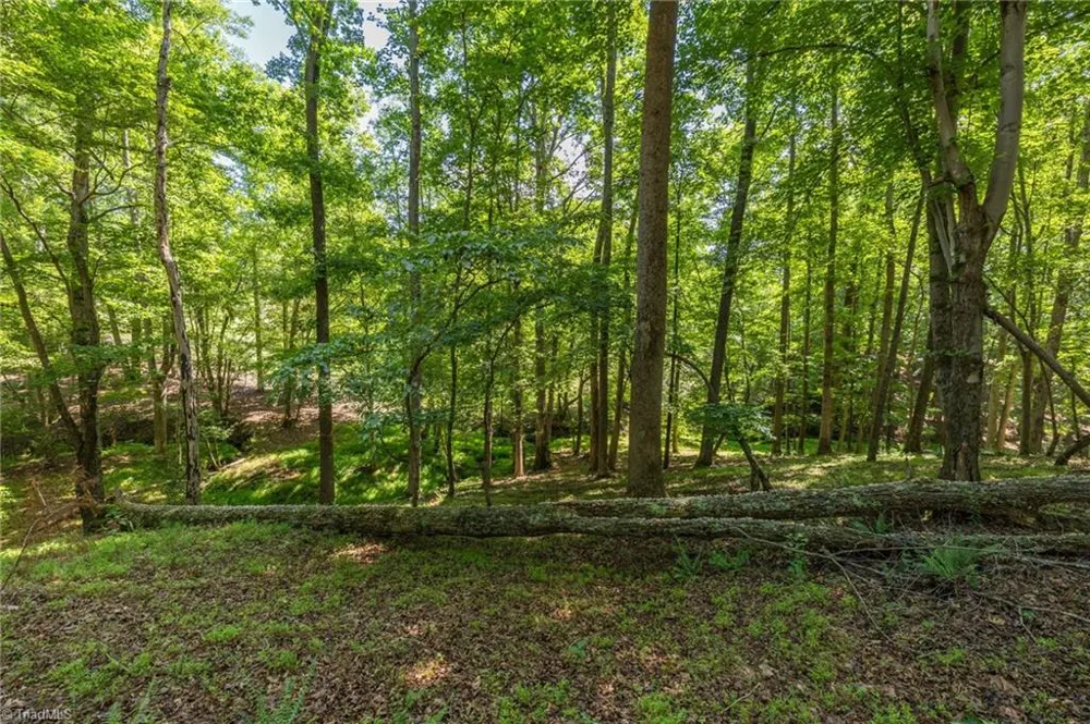 7289 Plunkett Road Stokesdale, NC 27357