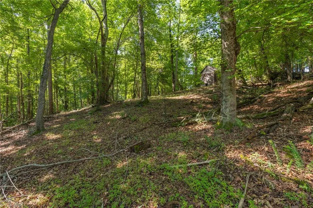 7289 Plunkett Road Stokesdale, NC 27357
