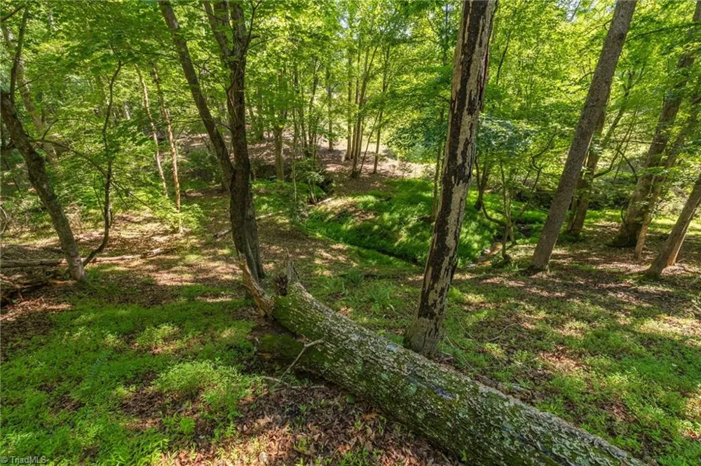 7289 Plunkett Road Stokesdale, NC 27357
