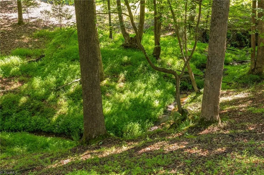 7289 Plunkett Road Stokesdale, NC 27357