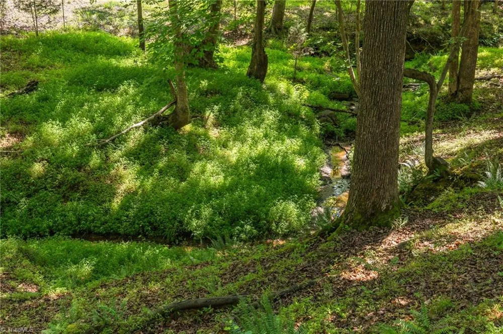 7289 Plunkett Road Stokesdale, NC 27357