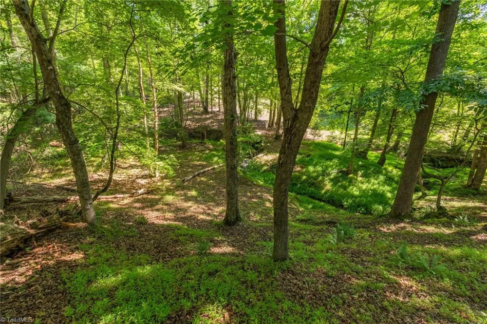 7289 Plunkett Road Stokesdale, NC 27357