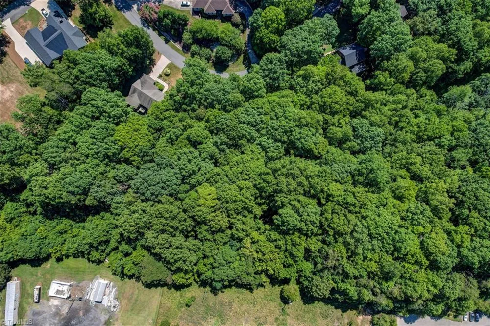 Lot 42 Laurel Wood Drive #Lot 42 Eden, NC 27288