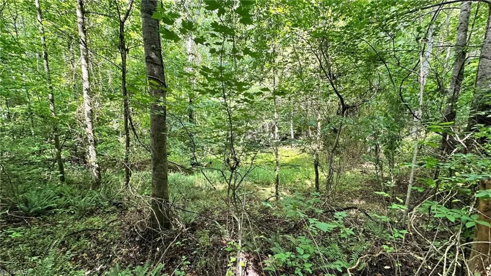 00E High Point Cove Wilkesboro, NC 28697