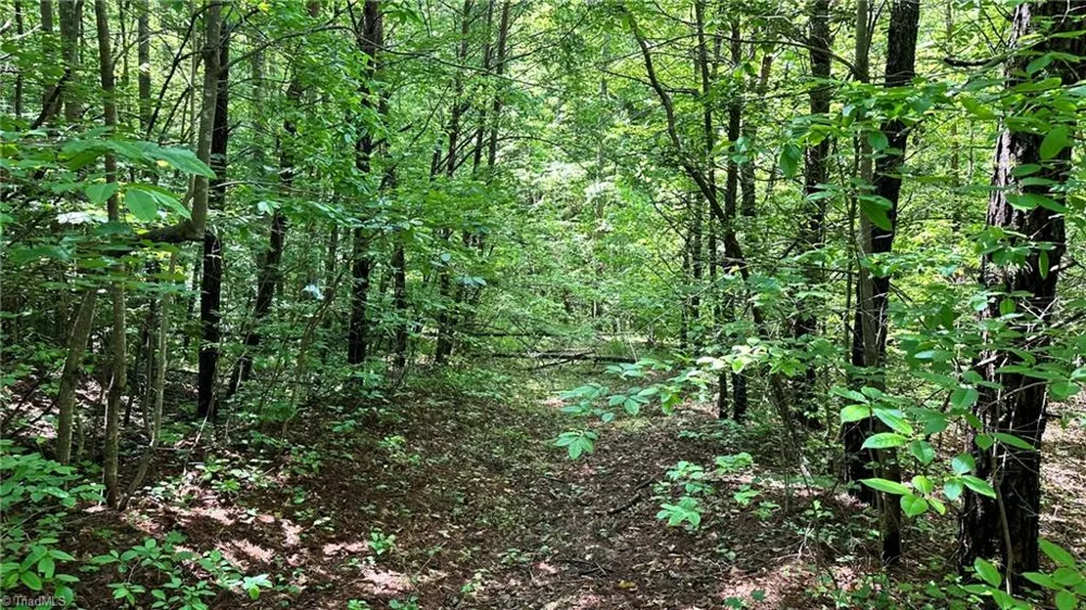 00E High Point Cove Wilkesboro, NC 28697