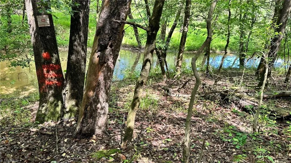 00E High Point Cove Wilkesboro, NC 28697