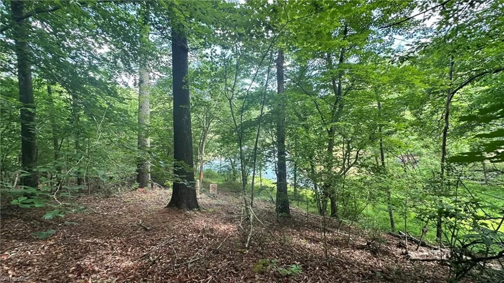 00E High Point Cove Wilkesboro, NC 28697