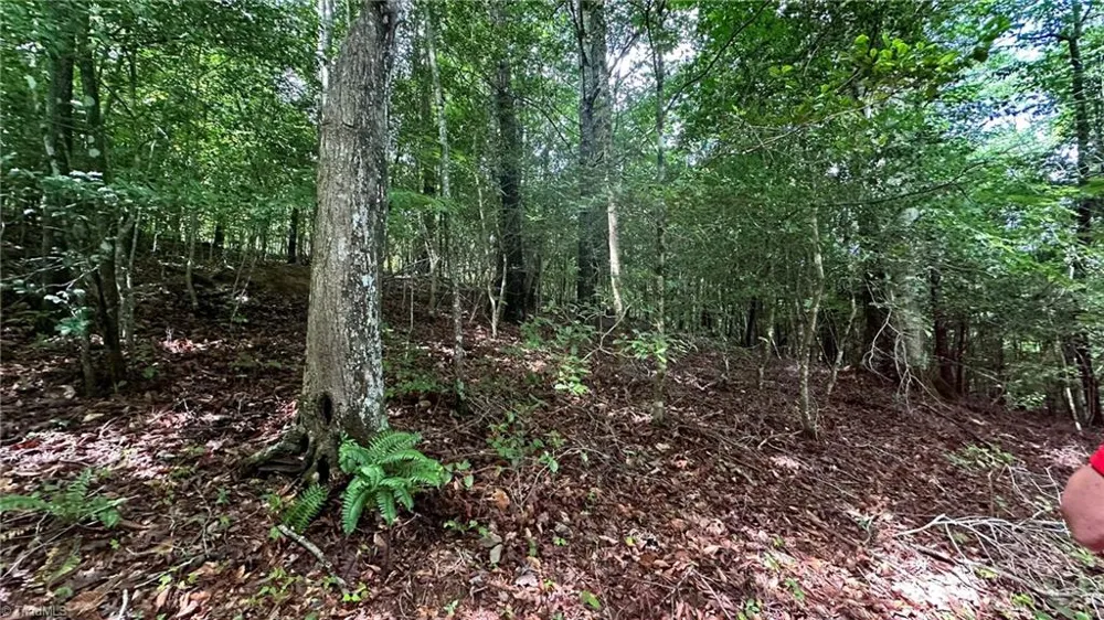 00E High Point Cove Wilkesboro, NC 28697