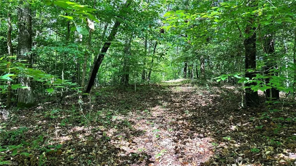 00D High Point Cove Wilkesboro, NC 28697