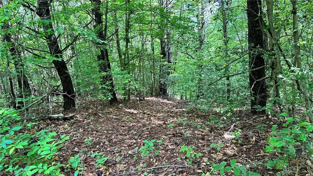 00D High Point Cove Wilkesboro, NC 28697